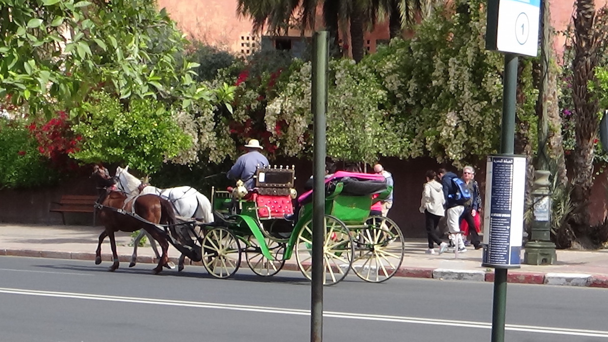 tl_files/uploads/blog/Marrakesch/8 marrakesh farbenfrohe Pferdekutschen.jpg